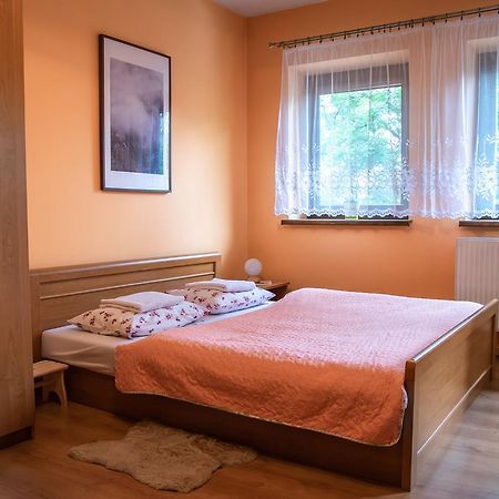 Apartament Domino - Krzeptowki 06 Закопане Екстер'єр фото
