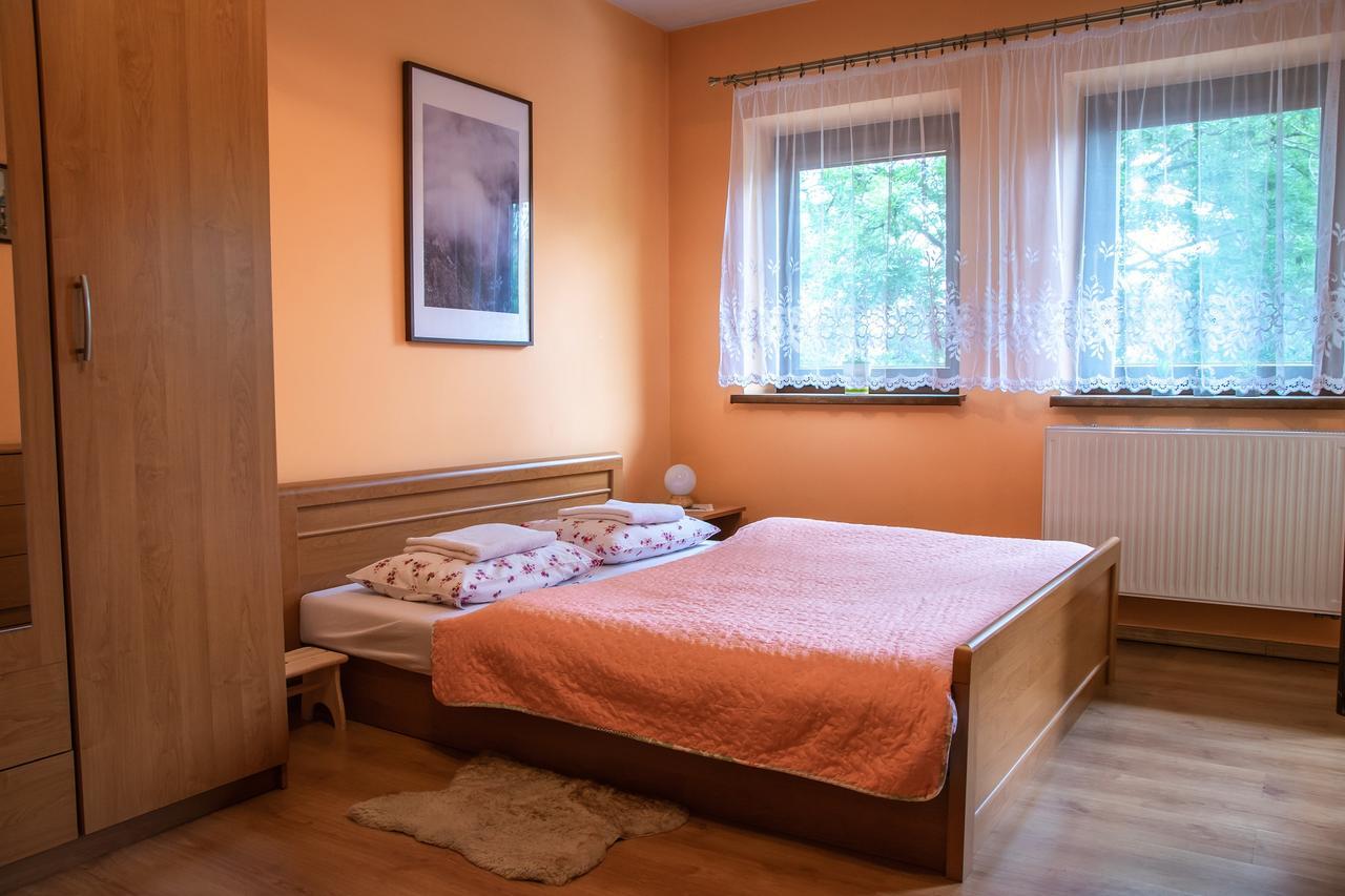 Apartament Domino - Krzeptowki 06 Закопане Екстер'єр фото